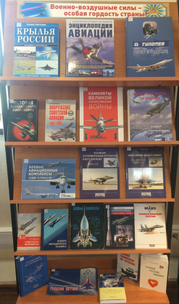 «Военно-воздушные силы - особая гордость страны!» Тульский Государственный Музей Оружия
