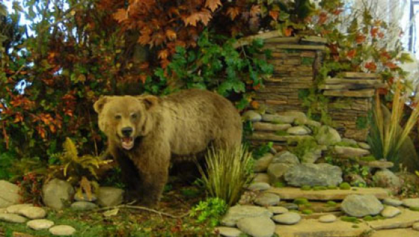 «Охотничье оружие как музейный предмет: природа торжествует!» Тульский Государственный Музей Оружия