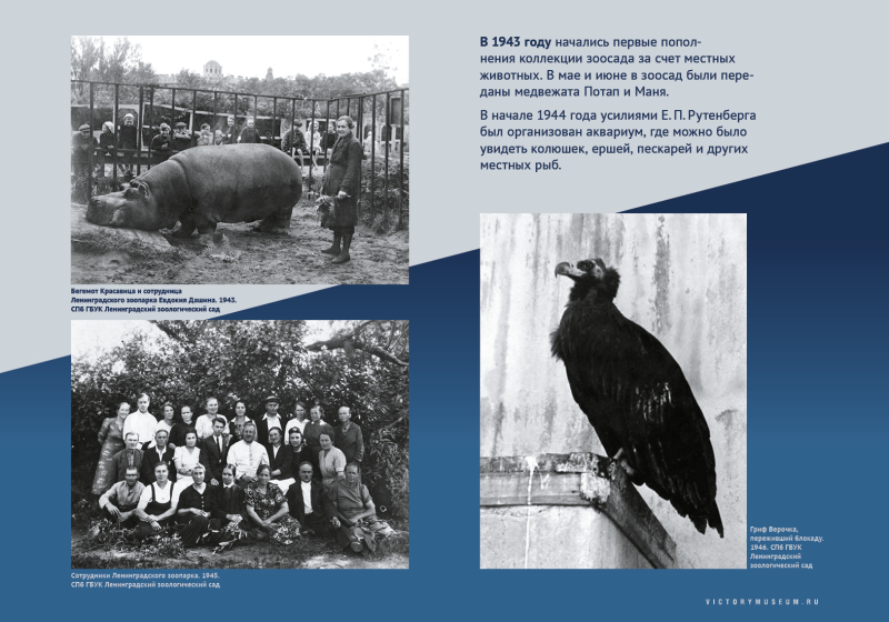 Виртуальная выставка «Салют над Невой» Тульский Государственный Музей Оружия