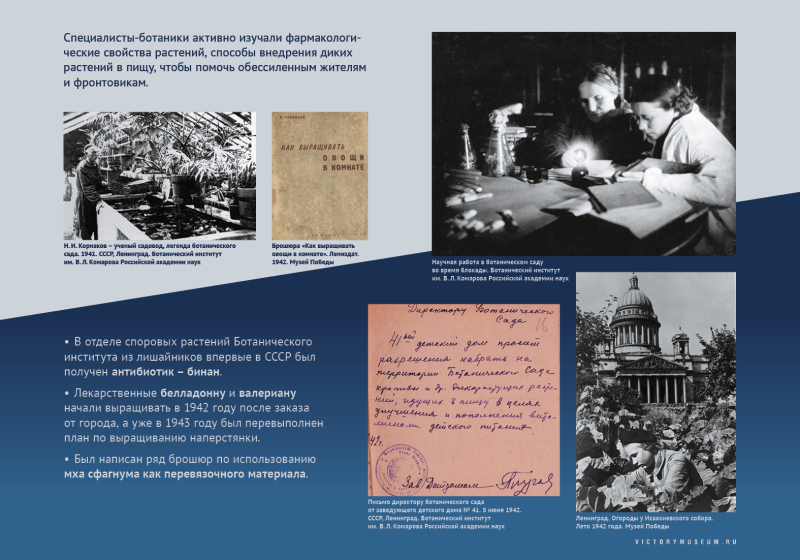 Виртуальная выставка «Салют над Невой» Тульский Государственный Музей Оружия