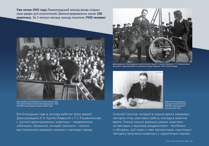 Виртуальная выставка «Салют над Невой» Тульский Государственный Музей Оружия