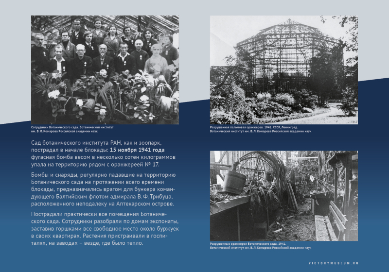 Виртуальная выставка «Салют над Невой» Тульский Государственный Музей Оружия