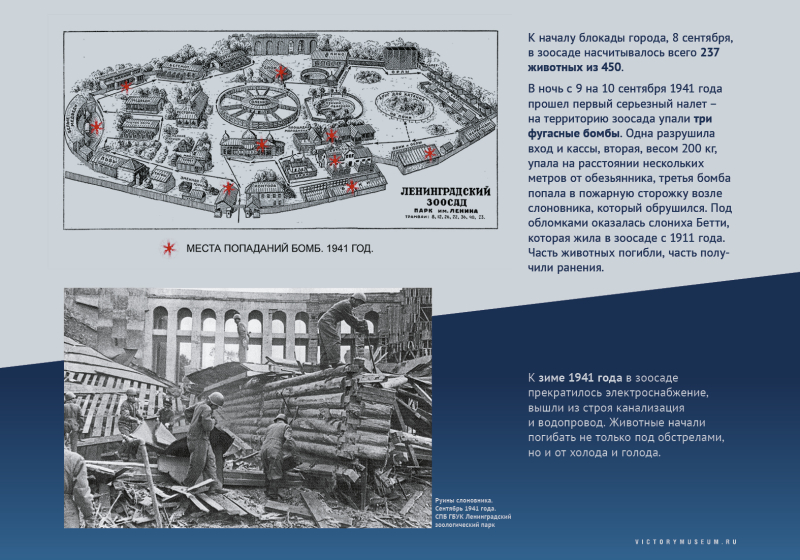 Виртуальная выставка «Салют над Невой» Тульский Государственный Музей Оружия