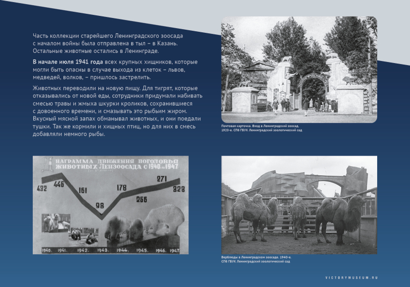 Виртуальная выставка «Салют над Невой» Тульский Государственный Музей Оружия