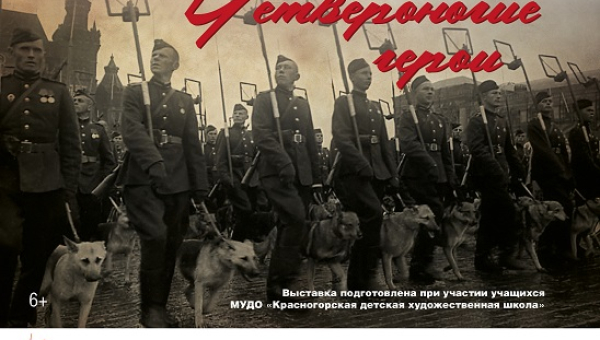 Виртуальная выставка «Четвероногие герои» Тульский Государственный Музей Оружия