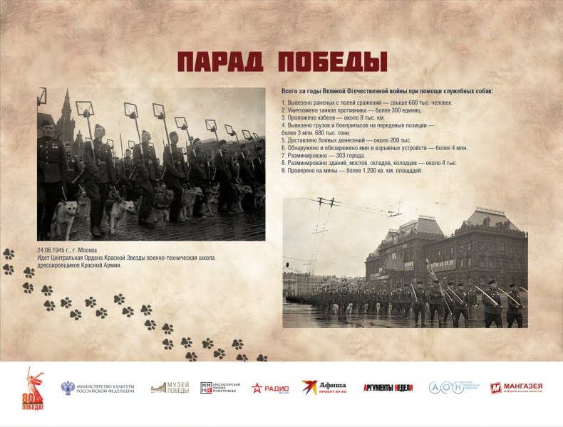 Виртуальная выставка «Четвероногие герои» Тульский Государственный Музей Оружия