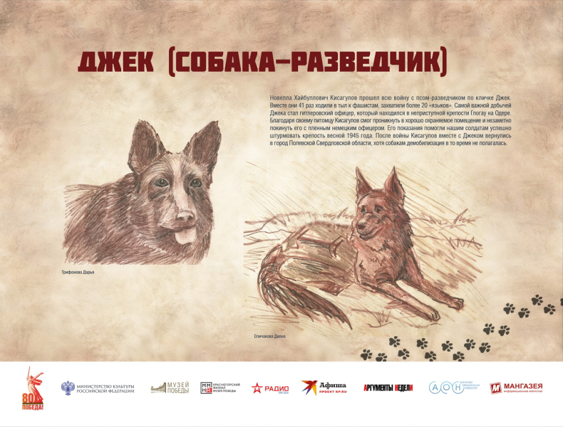 Виртуальная выставка «Четвероногие герои» Тульский Государственный Музей Оружия
