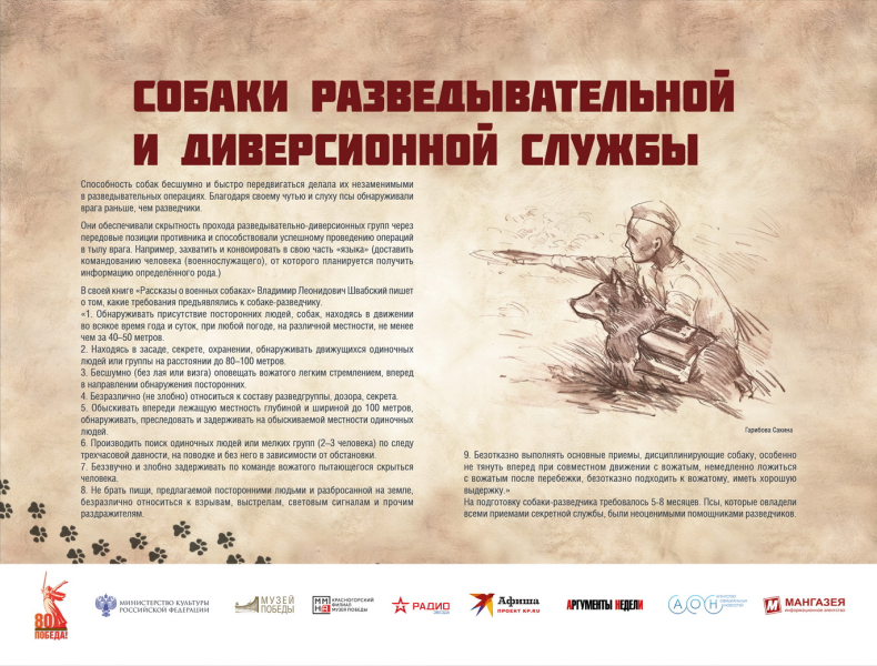 Виртуальная выставка «Четвероногие герои» Тульский Государственный Музей Оружия