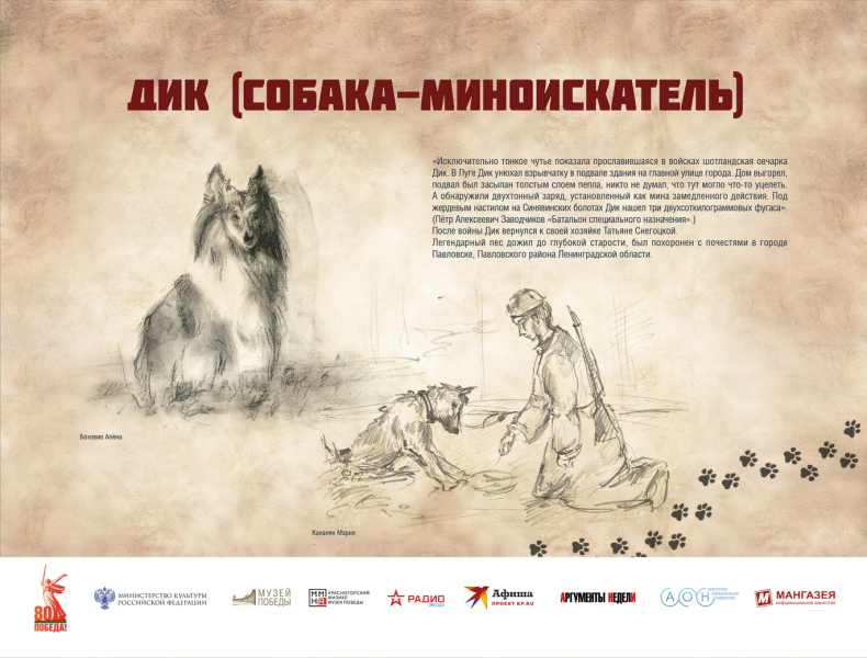 Виртуальная выставка «Четвероногие герои» Тульский Государственный Музей Оружия