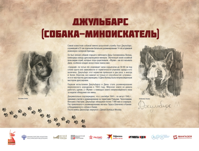 Виртуальная выставка «Четвероногие герои» Тульский Государственный Музей Оружия