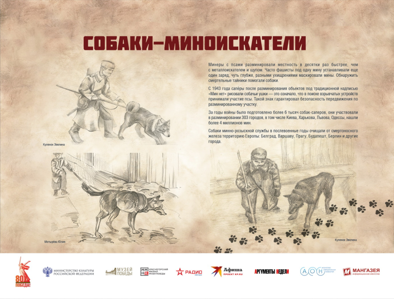 Виртуальная выставка «Четвероногие герои» Тульский Государственный Музей Оружия