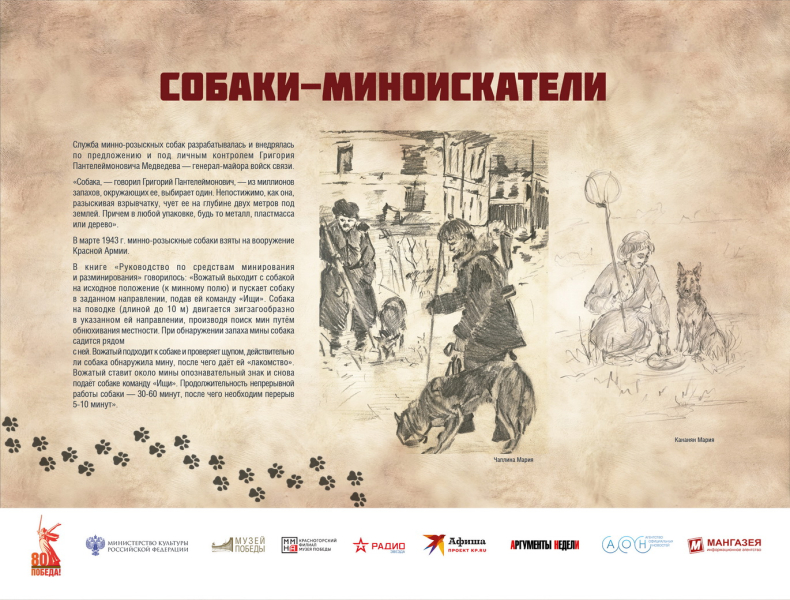 Виртуальная выставка «Четвероногие герои» Тульский Государственный Музей Оружия