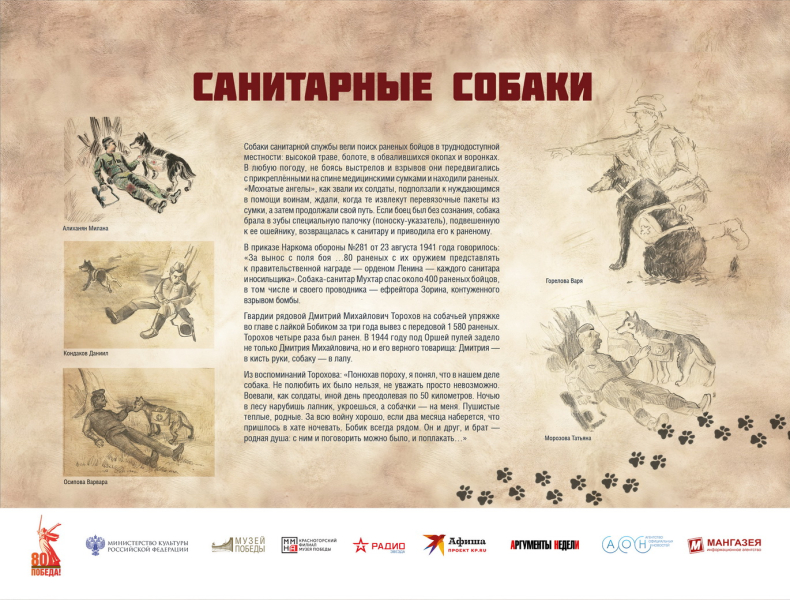 Виртуальная выставка «Четвероногие герои» Тульский Государственный Музей Оружия