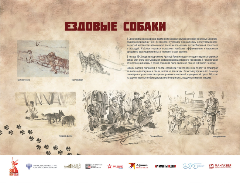 Виртуальная выставка «Четвероногие герои» Тульский Государственный Музей Оружия