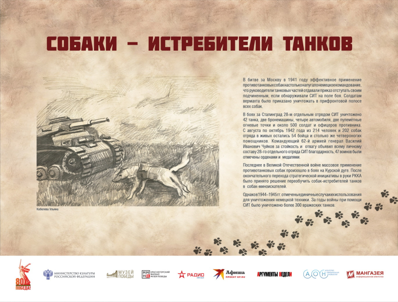 Виртуальная выставка «Четвероногие герои» Тульский Государственный Музей Оружия