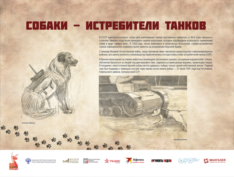 Виртуальная выставка «Четвероногие герои» Тульский Государственный Музей Оружия