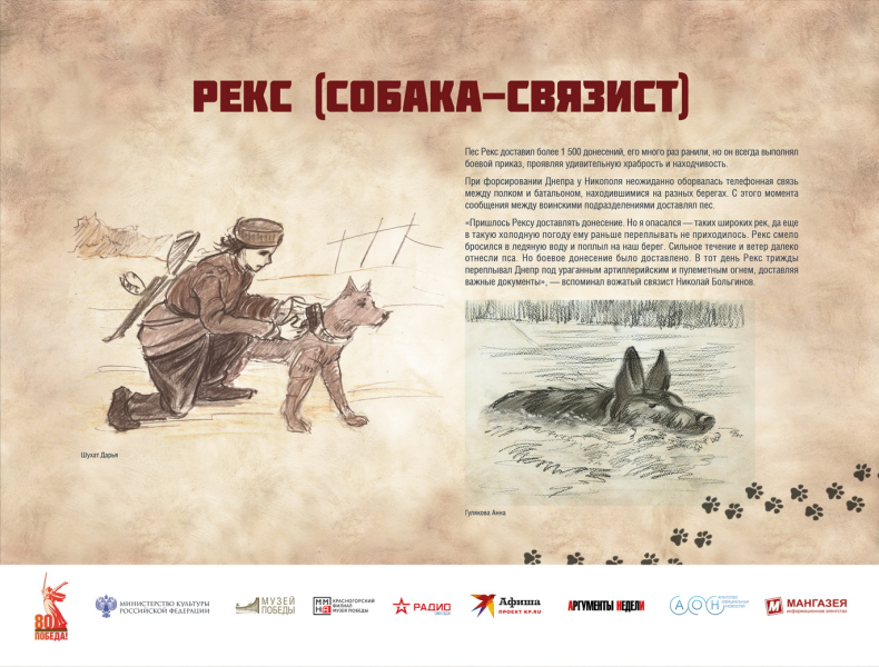 Виртуальная выставка «Четвероногие герои» Тульский Государственный Музей Оружия