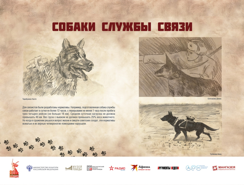 Виртуальная выставка «Четвероногие герои» Тульский Государственный Музей Оружия