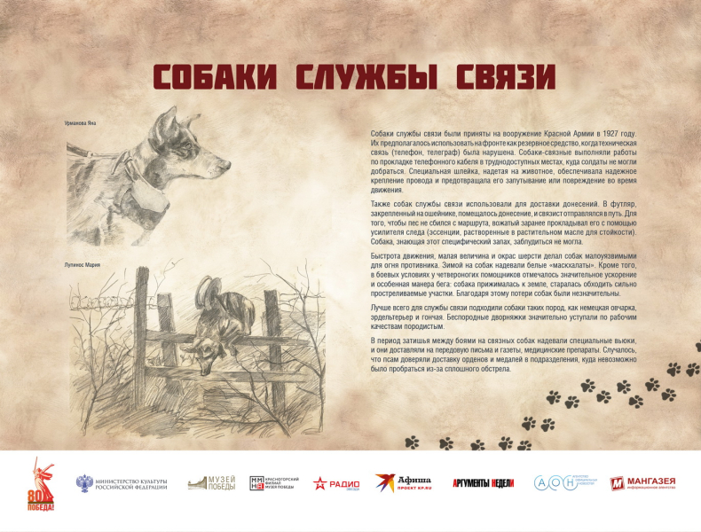 Виртуальная выставка «Четвероногие герои» Тульский Государственный Музей Оружия