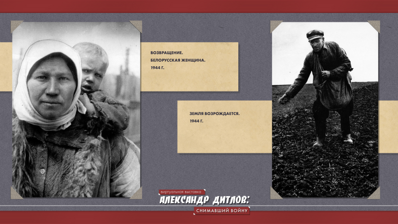 Виртуальная выставка «Александр Дитлов: снимавший войну» Тульский Государственный Музей Оружия