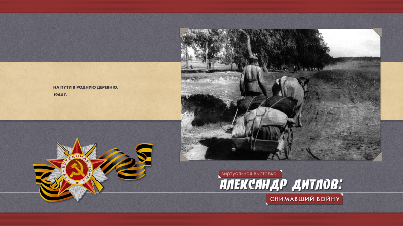 Виртуальная выставка «Александр Дитлов: снимавший войну» Тульский Государственный Музей Оружия