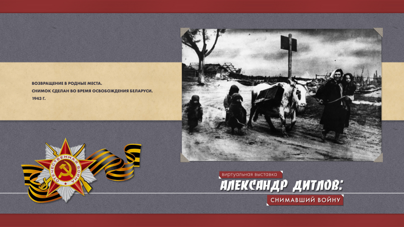 Виртуальная выставка «Александр Дитлов: снимавший войну» Тульский Государственный Музей Оружия
