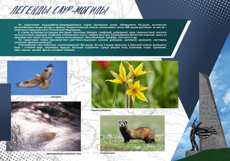 Виртуальная выставка «Легенды Саур-Могилы» Тульский Государственный Музей Оружия