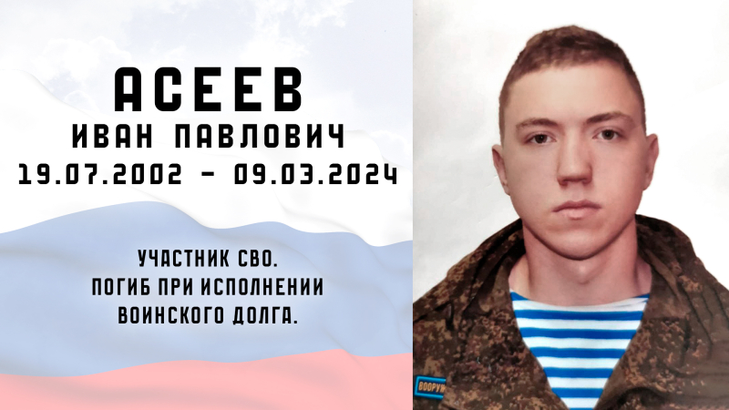 Виртуальная выставка «Защитники Отечества: небесный полк» Тульский Государственный Музей Оружия