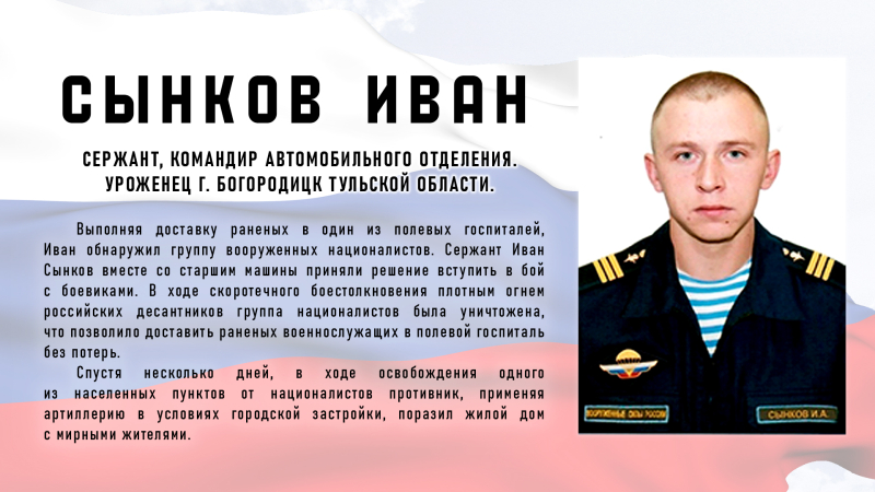 Виртуальная выставка «Защитники Отечества: небесный полк» Тульский Государственный Музей Оружия