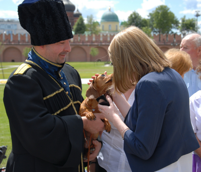 «Соколиная охота – царская, псовая – барская, ружейная - крестьянская» Тульский Государственный Музей Оружия