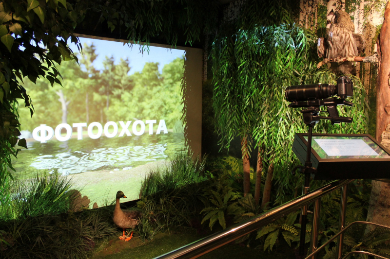 Виртуальный интерактивный тир «Фотоохота» Тульский Государственный Музей Оружия