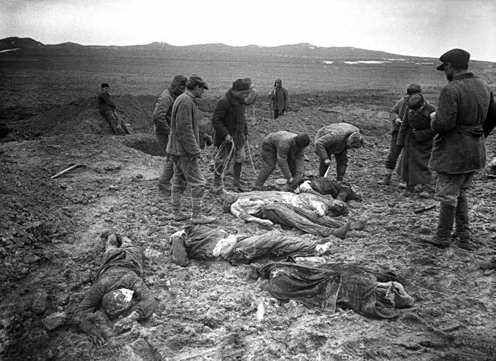 Выставочный проект «Тула и Керчь: города–герои, города-побратимы». Багеровский ров Тульский Государственный Музей Оружия