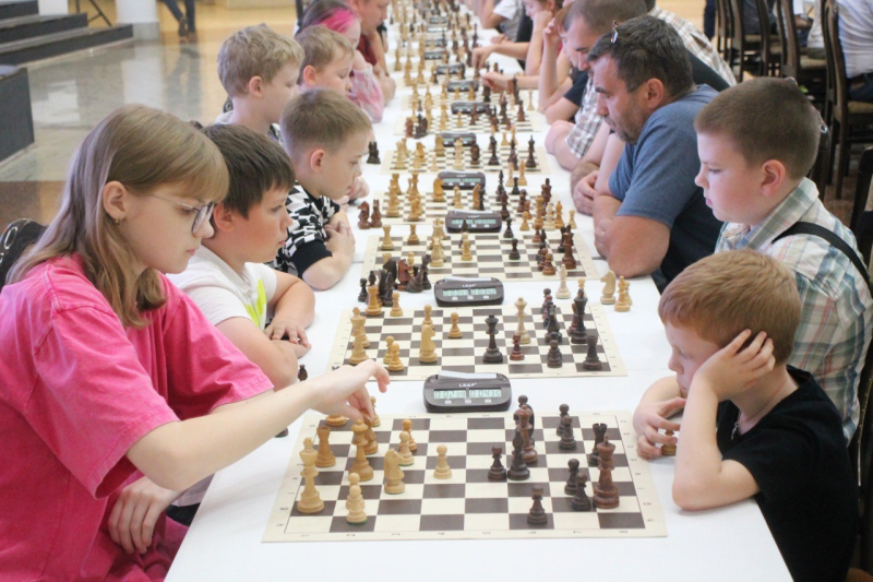 «Шахматы - искусство интеллекта»! Тульский Государственный Музей Оружия