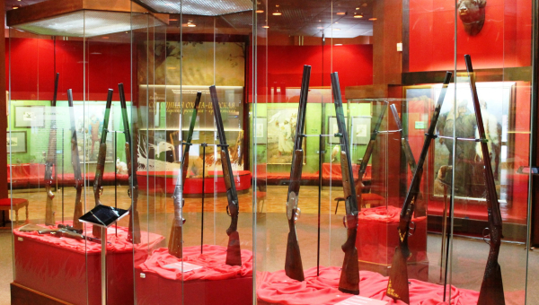 Экспонаты из Дарвиновского музея: последние выходные в Туле! Тульский Государственный Музей Оружия