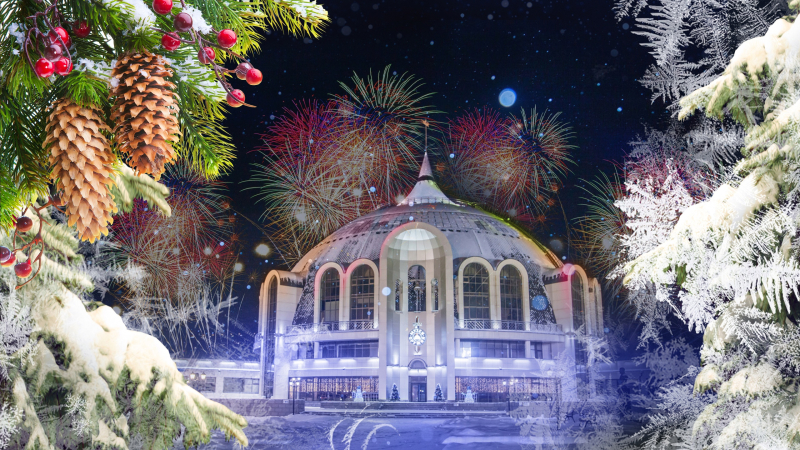 Более 4000 мальчишек и девчонок стали участниками увлекательных интерактивных детских новогодних представлений в Тульском музее оружия Тульский Государственный Музей Оружия