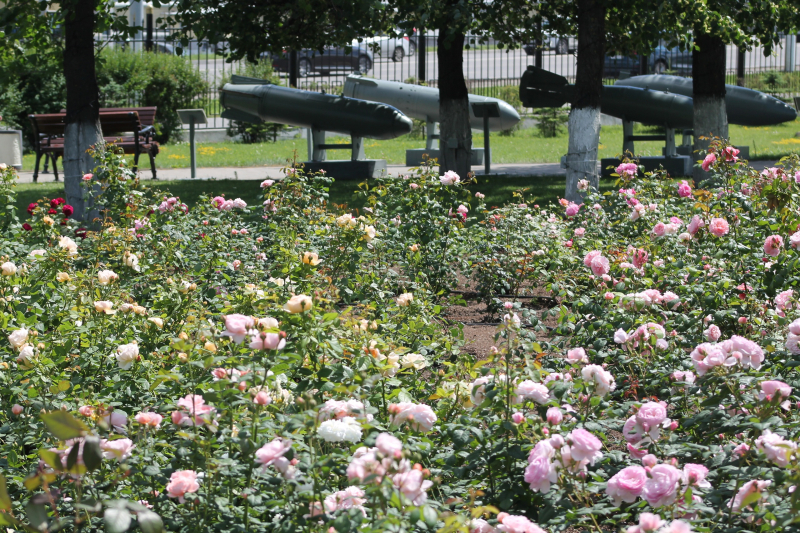 Гармония силы и изящества Тульский Государственный Музей Оружия