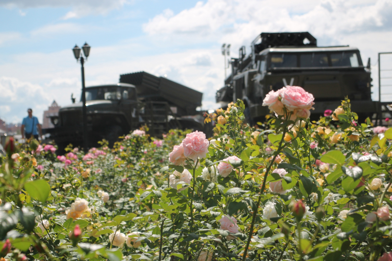 Гармония силы и изящества Тульский Государственный Музей Оружия