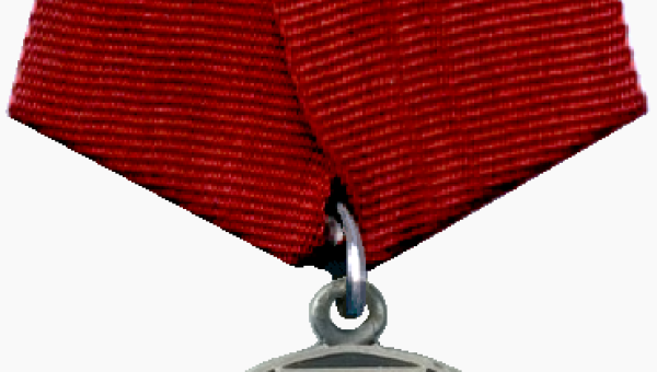 Директор музея оружия Н.И. Калугина награждена медалью ордена «За заслуги перед Отечеством II степени»! ПОЗДРАВЛЯЕМ! Тульский Государственный Музей Оружия