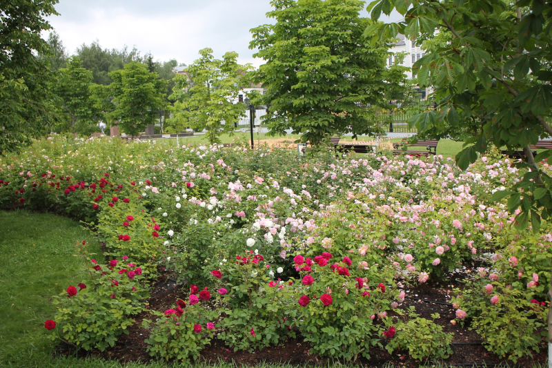 Гармония силы и изящества: грозное оружие и техника защищают чудесный мир красоты и духовности, доброты и справедливости! Тульский Государственный Музей Оружия