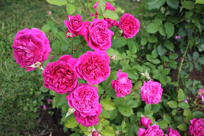 Гармония силы и изящества: грозное оружие и техника защищают чудесный мир красоты и духовности, доброты и справедливости! Тульский Государственный Музей Оружия