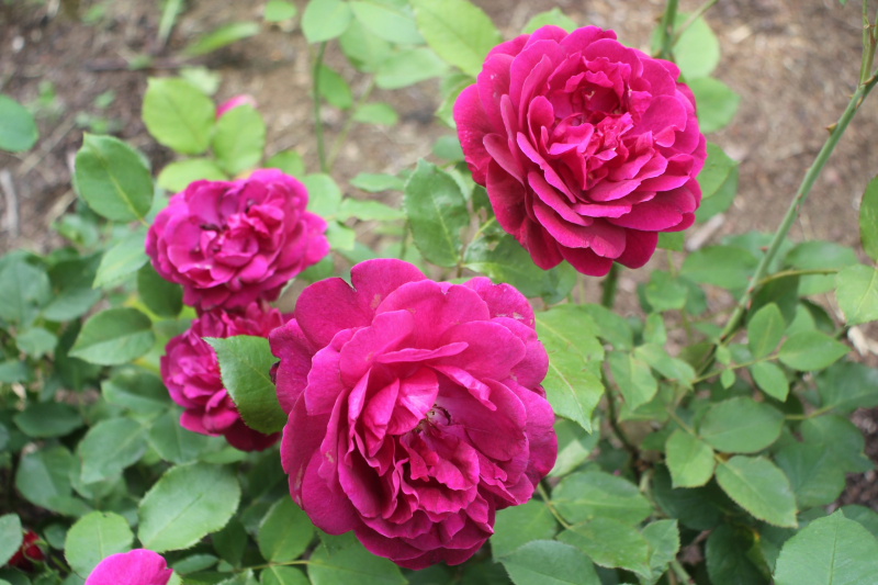 Праздничные мероприятия в Тульском музее оружия продолжаются! Тульский Государственный Музей Оружия