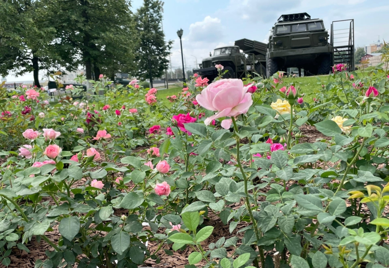 Красота и мощь Тульского музея оружия! Нежные краски и изысканные ароматы нового розария! Тульский Государственный Музей Оружия