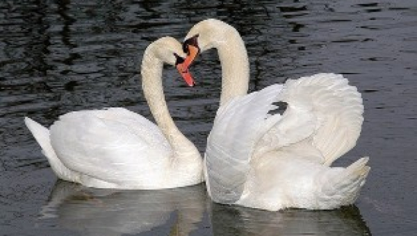 Вечерняя программа «Свидание в музее»! Тульский Государственный Музей Оружия