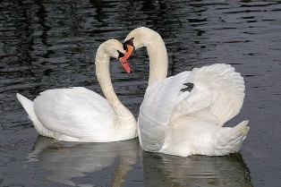 Вечерняя программа «Свидание в музее»! Тульский Государственный Музей Оружия