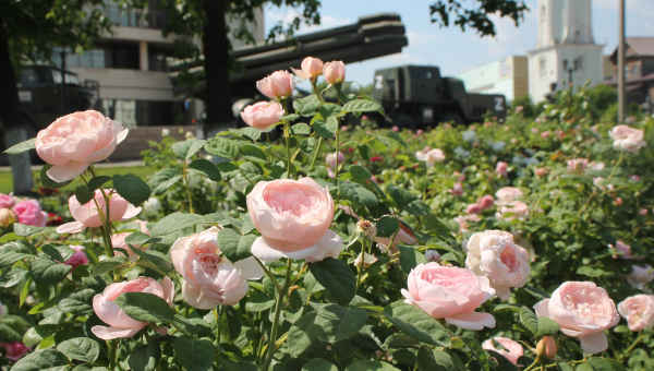 «Шикарный розарий… Красота и благоухание… Символично, что оружие защищает красоту мира»! Тульский Государственный Музей Оружия