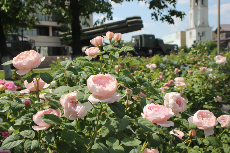 «Шикарный розарий… Красота и благоухание… Символично, что оружие защищает красоту мира»! Тульский Государственный Музей Оружия