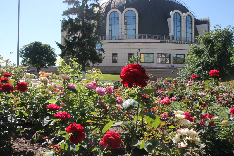 «Шикарный розарий… Красота и благоухание… Символично, что оружие защищает красоту мира»! Тульский Государственный Музей Оружия