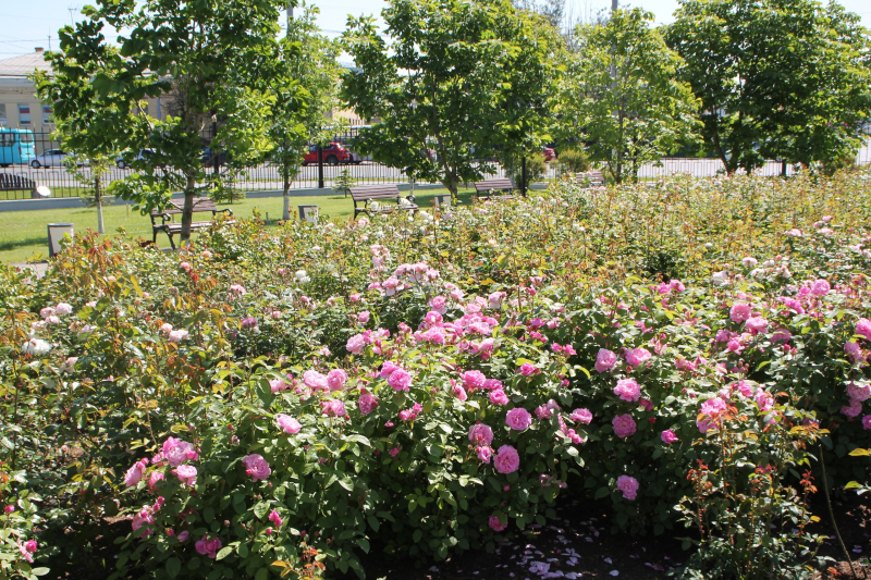Дорогие друзья, с праздником! С Днем России! Тульский Государственный Музей Оружия