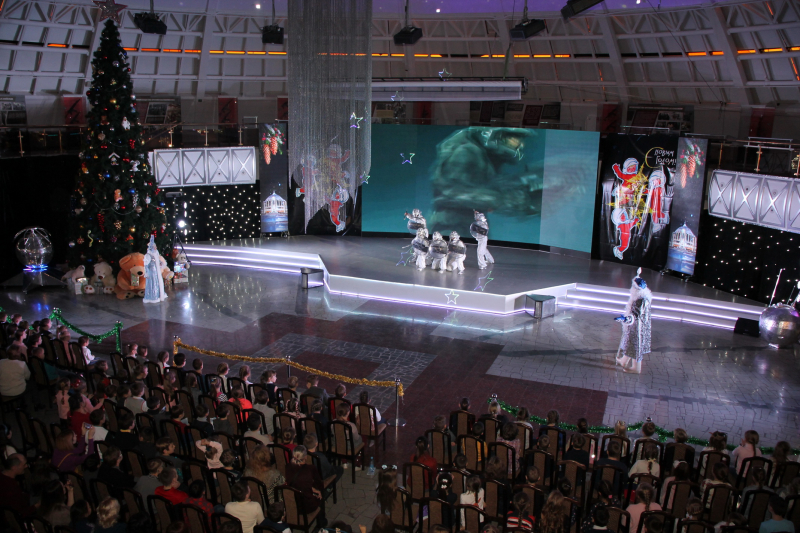 «Звездный дозор Богатырского Шлема»: первые детские новогодние представления в Тульском музее оружия. Фоторепортаж. Тульский Государственный Музей Оружия