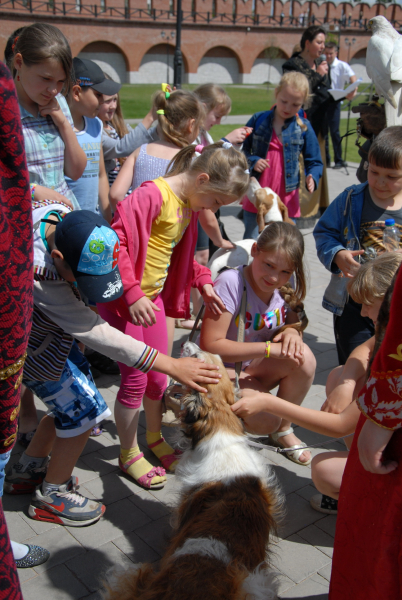 Выставка «Соколиная охота – царская, псовая – барская, ружейная – крестьянская» открыта! Тульский Государственный Музей Оружия